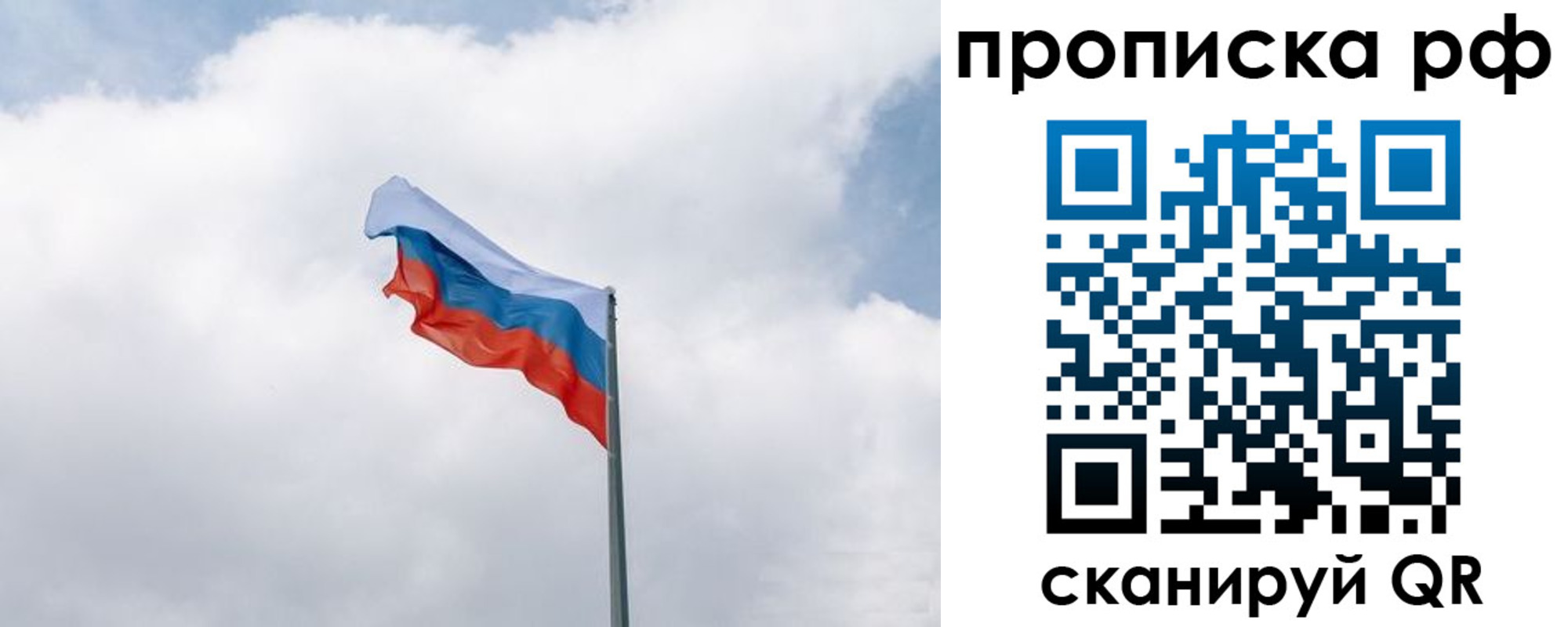 прописка гарантия в Карабаново